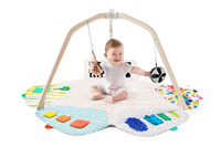 The Play Gym