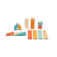 14-Piece Set Magnetic Wooden Blocks - Tegu Classics