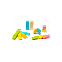 14-Piece Set Magnetic Wooden Blocks - Tegu Classics