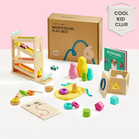 Montessori Toys for Toddlers (16–18 Months) – Montessori Educational Toys
